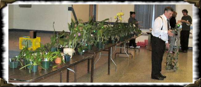 Auction Plants, May 2004